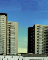 Shreeji Plaza