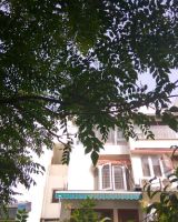 Hill View Apartment