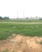 Eco City 3