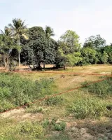 Bharani Avenues