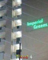 Imperial Greens
