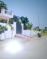 Arsha Madhav Greens