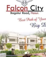 Falcon City