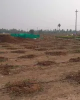 Vasavi Sandal County