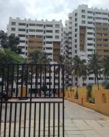 Golden Palms