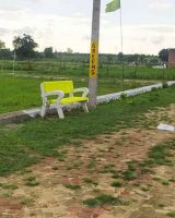 Rohtak Green City