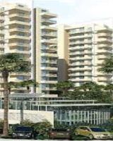Essentia Saffron Homes