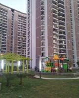 Great Value Sharanam