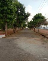 Aashaya Paradise