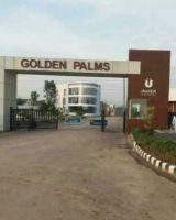 Golden Palm Society