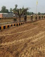 Aamby Valley