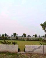 Bkr Golden City