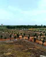 Fortune Sunshine City