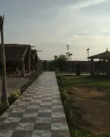 Bottle Palm Farms