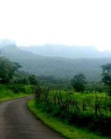 Green City