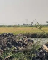 Sohna South City