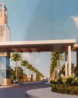 Palm Drive