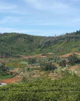 Siri Valley