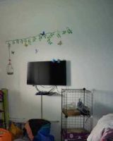 Shaman Vihar Apartment