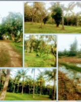 Sri Saikrishna Township