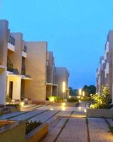 Edifice Almond Tree