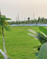 The Park Greens