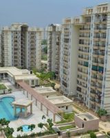 Amrapali Terrace Home
