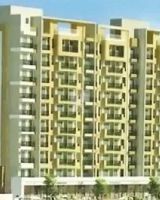 Anand Height