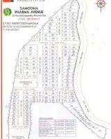 The Pharma Avenue