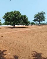 Sai Padmanabham Estate