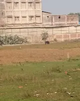 Green City