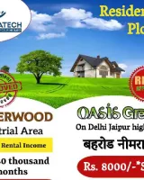 Oasis Green
