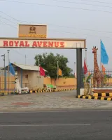 Royal Avenue