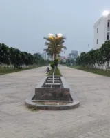 Ace Palm Floors
