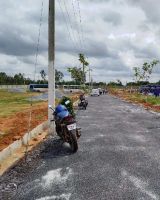 Jr Heavenly Home