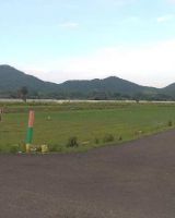 Green City