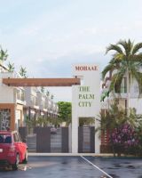 Mohaae Palm City