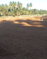 Shanthaa Classic