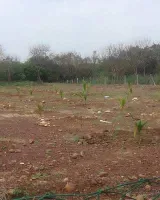Wellness Farm