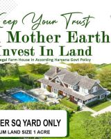 The Forest Farms House