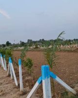 Sohna Grand City