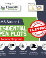 Ams Sectors 1