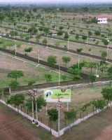 Sri Krishna Valley