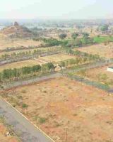 Sukrithi Tanavi Grove