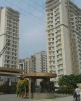 Czar Suites