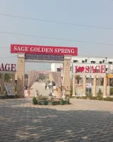 Sage Golden Spring