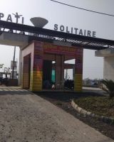 Tirumala Solitaire