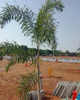 Oraiyan Ashirwad Square