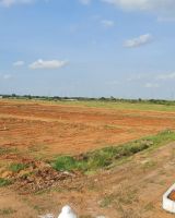 Amber Homes