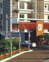 Empressia Elite 2